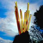 Raw Honey Sticks (50)