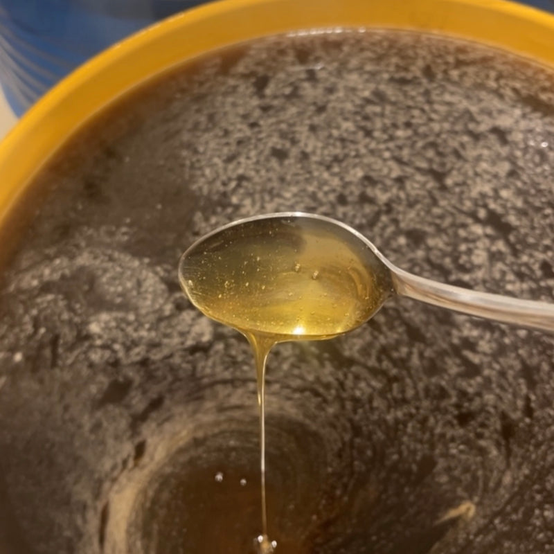 Raw Honey Bulk - Bulk Honey 1 Gallon - Wildflower Honey Organic Honey Non GMO Honey Kosher Honey Texas Honey Clover Baker's Honey Bakers Special ELA Amber