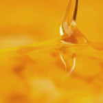 Raw Honey 5 Gallon - FREE SHIPPING